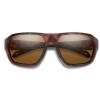 Окуляри сонцезахісні Smith Optics Deckboss Matte Tortoise Polar Brown (204066N9P63L5)
