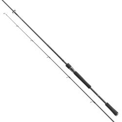 Спінінг Daiwa Prorex XR 2020 Spin 2.40m 30-70gr (11331-243)