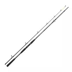 Спінінг Daiwa Seahunter X 2.40m 100-200g (11533-246)