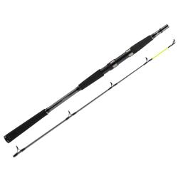 Спінінг Daiwa Seahunter X 2.40m 100-200g (11533-246)