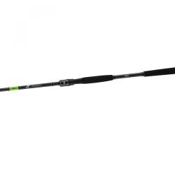 Спінінг Daiwa Prorex X Spin 2.40m 40-100g (11285-245)