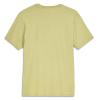 Футболка Simms Trout Outline T-Shirt Tent Green M