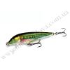 Воблер Rapala Countdown S 110mm 16g 2.7-3.9m #RT