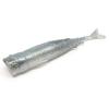 Плаваючий силікон ZMAN Pop Shadz 4" 3pc #Smoky Shad (POPSHAD4-57PK3)