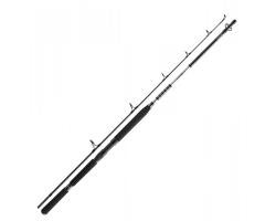 Спиннинг Daiwa BG Popper 2.30m 40-150g (11928-230)