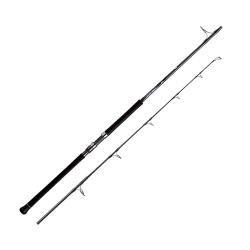Спінінг Daiwa Saltiga AP C83-5 2.51m Max110gr (15804065)
