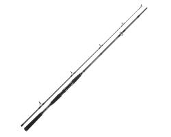 Спиннинг Daiwa Seahunter X 2.40m 100-200g (11533-246)