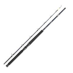 Спінінг Daiwa Tanacom Ultra Deep 2.10m 400-1000g (11806-216)