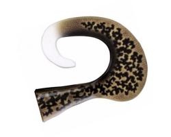 Съемный силиконовый хвост Rapala X-Rap Otus Curly Tail 120mm 29g 2pcs #ARB (OCTP25 ARB)