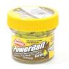Силікон Berkley PowerBait Power Honey Worm Garlic 25mm 60g #Orange (1345791)