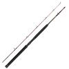 Спінінг Daiwa Seahunter Spin 1.83m 80-200g (A0020296300)