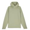 Худі Simms SolarFlex Hoody Pale Pine L (14330-1158-40)