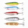 Набір блешень Daiwa Mission Raider Lure Kit 13g (A0009592300)