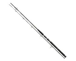 Спиннинг Daiwa BG Boat 2.10m 150-400g (11906-216)