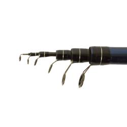 Удочка Phoenix Action 6m з кільцями / 10-30g